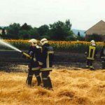 Feldbrand-Biedermannsdorf-070700 gross